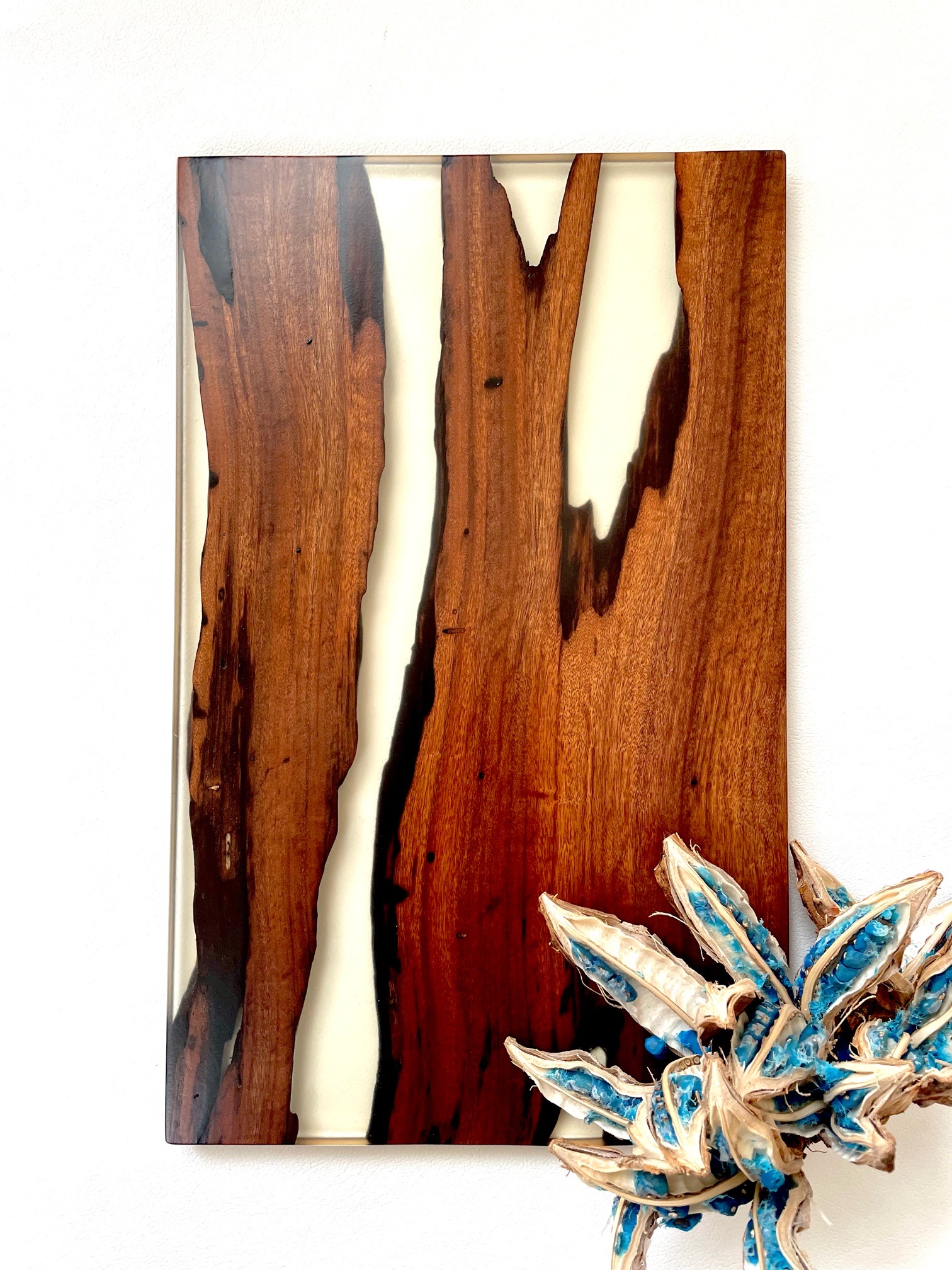 タブの木の板 樹木プレート/椨（タブ）の木 | 日常に新しい彩りを| 伝えたい作り手